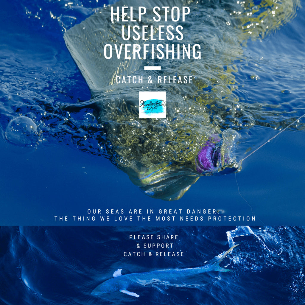 Catch & Release Mesures extended by Florida Fish and Wildlife Conservation Commission - KnottyTails