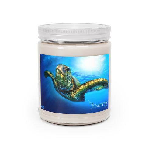 Scented Candles, 9oz for Relaxation and Aromatherapy - Long-Lasting Serenity