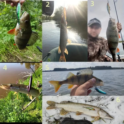 5pcs/Box Laser 3D Eyes Bionic Minnow Fishing Lure 13.3g for Ultimate Catch Success