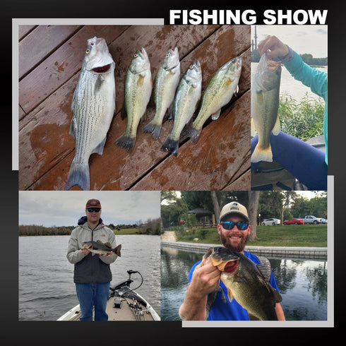 Spinpoler 2" 3" 4" Soft Fishing Lures for Bass and Trout Action