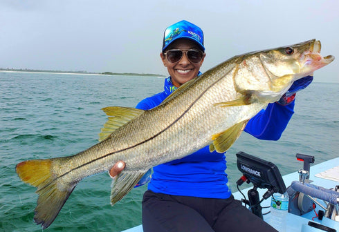 Sea Turtle Snapback Hat Black - KnottyTails